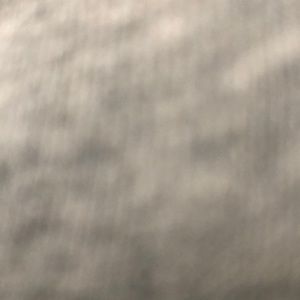 Meet your Posher, Sammy